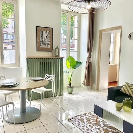 Appartement Albi * Albi