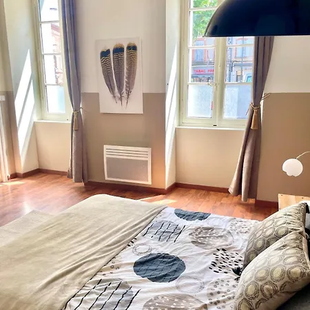 Appartamento Appartement Albi Albi
